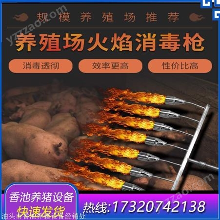 猪舍火焰消毒设备 液化气喷 火焰消毒枪价格