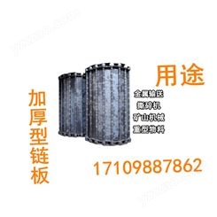 常州匯宏排屑機鏈板 工業重型輸送機 黑色碳鋼鏈板定制 量大質優