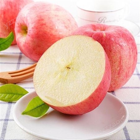 冷库红富士苹果膜袋价格表 一级红富士苹果包装定制 代收苹果 批发