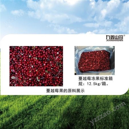九鑫山珍蓝莓蔓越莓果干冻果大宗原料25kg/袋