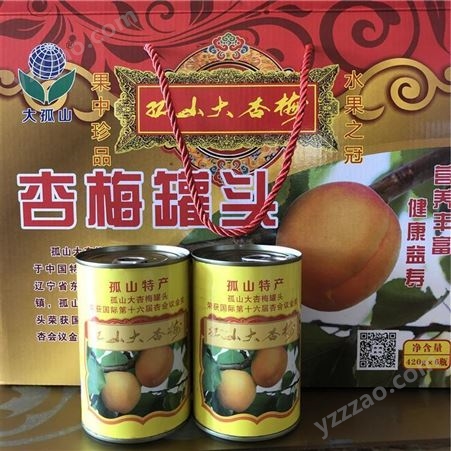 丹東特產杏梅罐頭  水果罐頭 罐頭批發