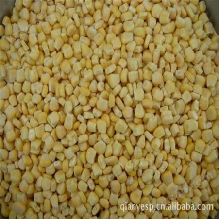出口内销 冷冻新鲜玉米粒 冷冻甜玉米粒批发 冷冻玉米粒厂家