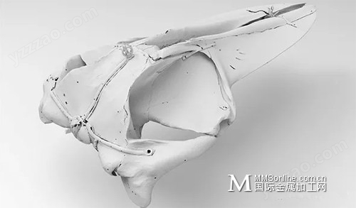 CREAFORM形创：伦敦自然历史博物馆：蓝鲸骨架3D扫描