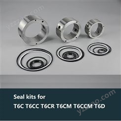 Seal kits for T6C T6CC T6CR T6CM T6CCM T6D油泵密封修理包
