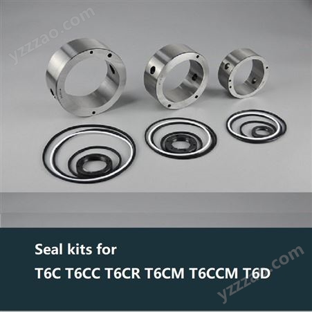 Seal kits for T6C T6CC T6CR T6CM T6CCM T6D油泵密封修理包