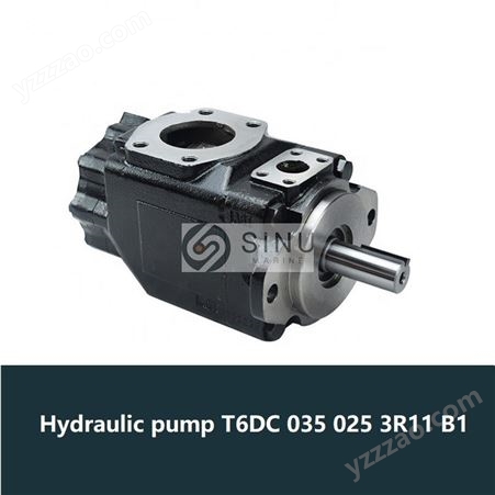 T6DC 035 025 3R11 B1 叶片泵vane pump