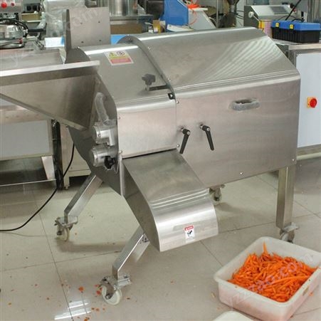 长期供应 果蔬切丁机 大型切丁机 水果切粒机