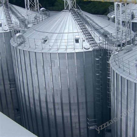 面粉厂用小麦仓 镀锌粮仓 加厚高架仓 性能稳定