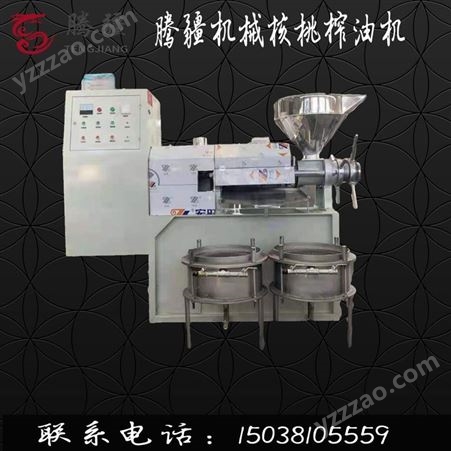 两相电小型棕榈果榨油机 油茶籽油压榨机腾疆机械