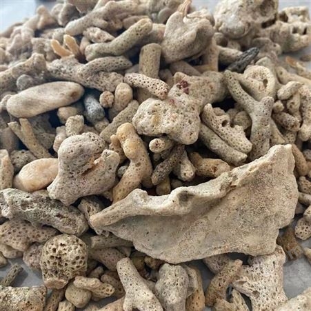 佳玉矿产 造景水族珊瑚石 鱼缸水族过滤砂 灰色
