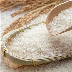 启旺库存积压珍珠米回收高价收购发霉稻花香大米